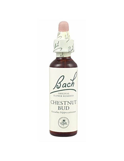 Suplement diety Bach Chestnut Bud 20 ml (5000488103830) - obraz 1