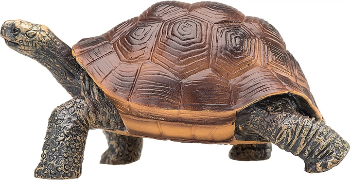 Figurka Mojo Animal Planet Giant Tortoise Large 3.5 cm (5031923872592) - obraz 4
