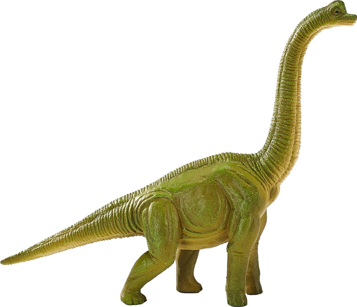 Фігурка Mojo Prehistoric Life Brachiosaurus 17 см (5031923872127) - зображення 1
