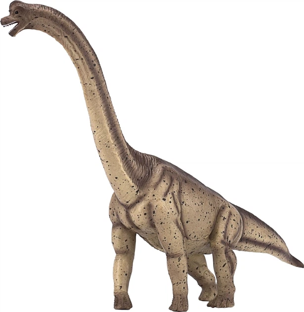 Фігурка Mojo Fun Prehistoric Life Brachiosaurus Deluxe 17 см (5031923873810) - зображення 3