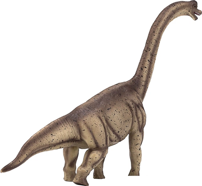 Фігурка Mojo Fun Prehistoric Life Brachiosaurus Deluxe 17 см (5031923873810) - зображення 4