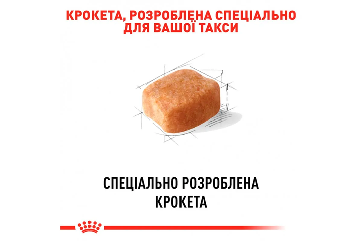 Сухий корм Royal Canin Dachshund Adult для собак породи такса 3 кг - Фото 3 Сухий корм Royal Canin Dachshund Adult для собак породи такса 3 кг - зображення 3