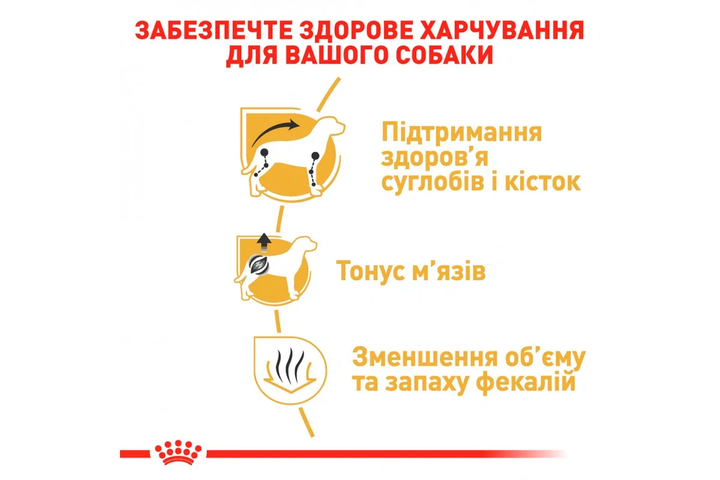 Сухий корм Royal Canin Dachshund Adult для собак породи такса 3 кг - Фото 4 Сухий корм Royal Canin Dachshund Adult для собак породи такса 3 кг - зображення 4