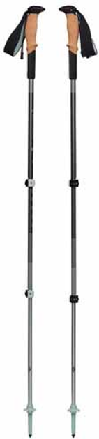 Kije trekkingowe Black Diamond Pursuit Shock S/M szary/zielony 1 para 110-125 cm (1879405) - obraz 2