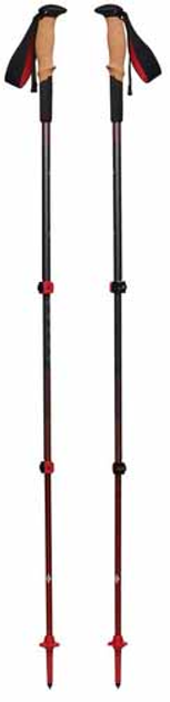 Kije trekkingowe Black Diamond Pursuit Shock M/L szare/czerwone 1 para 125-140 cm (1879410) - obraz 2