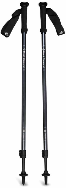 Kije trekkingowe Black Diamond Explorer 2 czarne 1 para 100 do 140 cm (100031753) - obraz 1