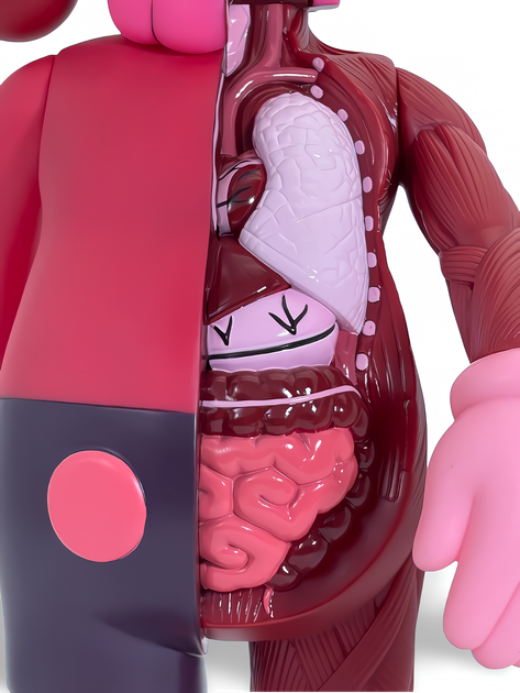 Статуэтка KAWS x Companion Flayed Open Edition x Red 400% 34 см Brian Donnelly Краски - Фото 7 Статуэтка KAWS x Companion Flayed Open Edition x Red 400% 34 см Brian Donnelly Краски - изображение 7
