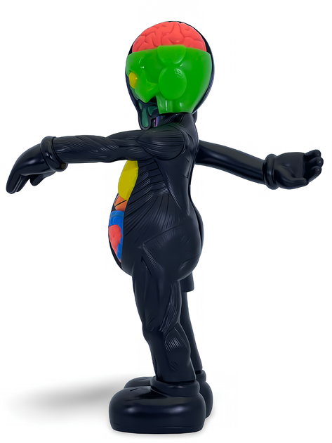 Статуэтка KAWS x Companion Flayed Open Edition x Black 400% 34 см Brian Donnelly Рыцарь - изображение 8