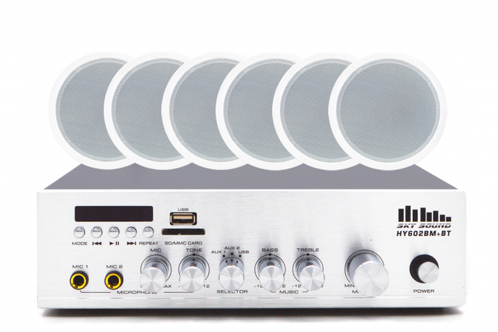 Акустический комплект SKY SOUND CSY-3106 (9574724) - изображение 2