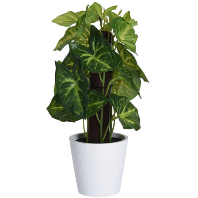 Sztuczne syngonium w doniczce Home Styling Collection 25 cm (5902973440843) - obraz 1