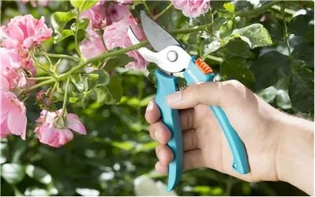 Комплект садових інструментів Gardena Classic Ergo (арт.8950, 8754, 11511) з ковшем (08966-30.000.00) - зображення 3