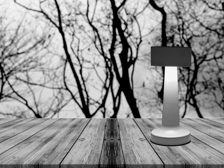 Настольная светодиодная лампа Esllse DOWN LIGHT с аккумулятором 2Вт Белая - изображение 7