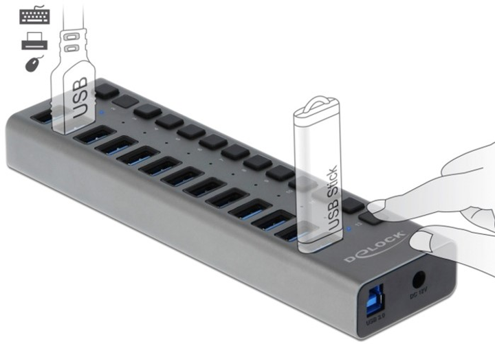 USB-хаб Delock External Hub with 13 Ports + Switch Grey (4043619637386) - зображення 2