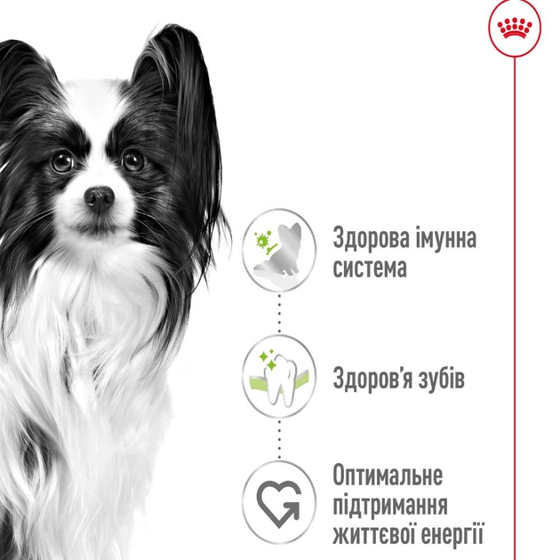 Royal Canin X-Small Adult сухий корм для собак 3 кг - изображение 2