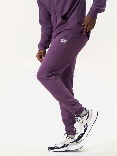 Спортивні штани утеплені чоловічі Reebok Identity Small Logo Fleece Jogger 100206013 L Сливові (1200143859629) - зображення 1