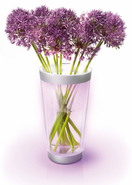 Лампа ваза PHILIPS LUMIWARE VASE 69153/60/PH – фото, отзывы ...