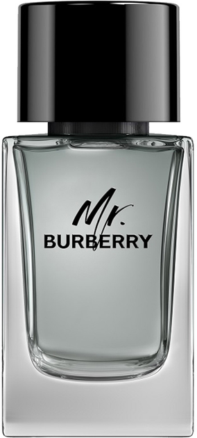 Туалетна вода для чоловіків Burberry Mr. Burberry 100 мл (3614229840124) - зображення 2