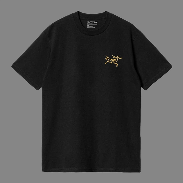 Футболка унисекс Arcteryx с логотипом на клетках размер L черного
