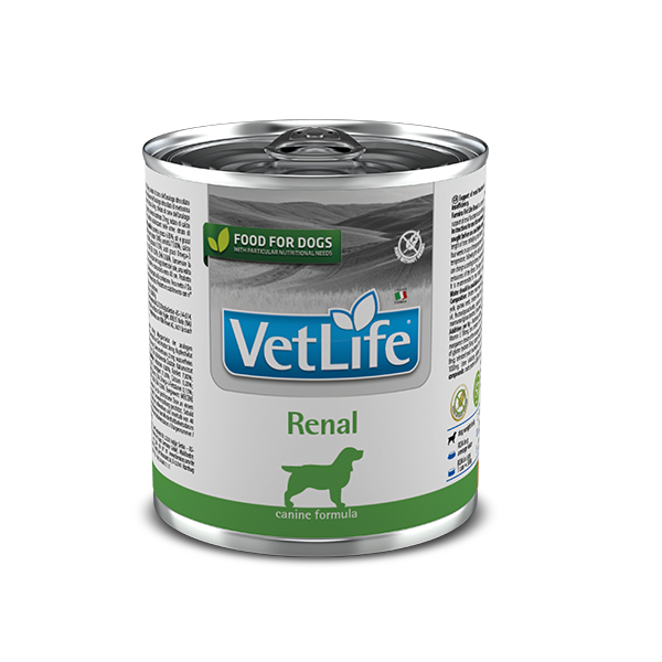 Влажный корм Farmina Vet Life Renal для собак, для поддержания функции почек, 300 г (*) - Фото 1 Влажный корм Farmina Vet Life Renal для собак, для поддержания функции почек, 300 г (*) - изображение 1