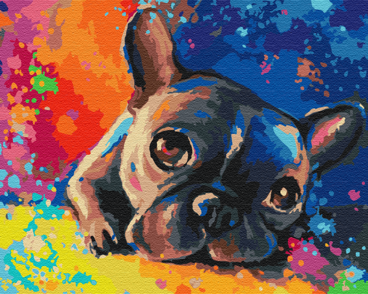 Картина по номерам Цветной бульдог (PBS28895) Premium Brushme 40x50 см - Фото 1 Картина по номерам Цветной бульдог (PBS28895) Premium Brushme 40x50 см - изображение 1