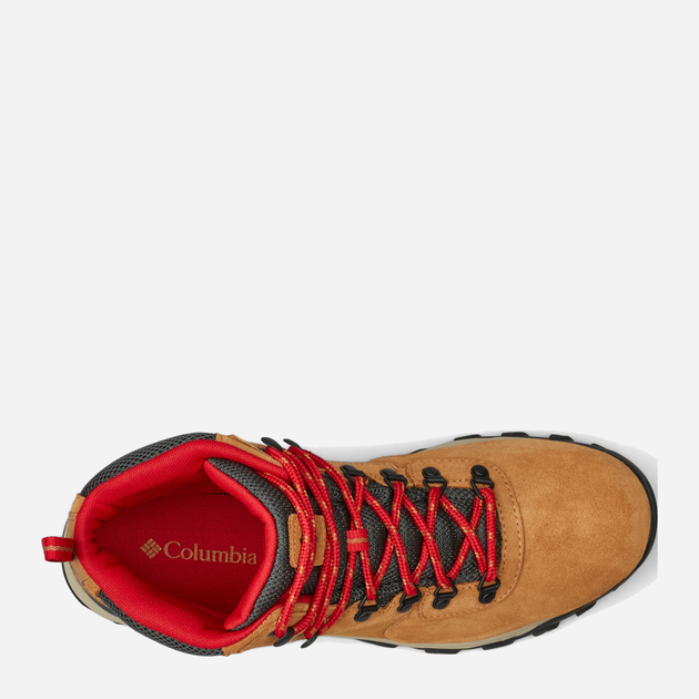 Чоловічі черевики для трекінгу Columbia Newton Ridge Plus II Suede Wp 1746411288 44 (11US) Коричневі (195981584462) - зображення 9