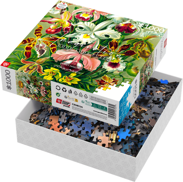 Пазл GOOD LOOT Imagination Ernst Haeckel Orchidea / Orchid 1000 елементів (5908305247531) - зображення 3