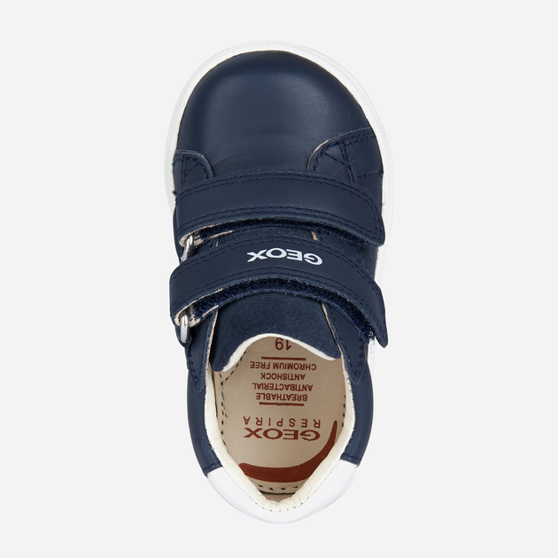 Sneakersy chłopięce na rzepy Geox B Biglia Boy B044DD08522C4264 23 Granatowe (8056206010642) - obraz 4