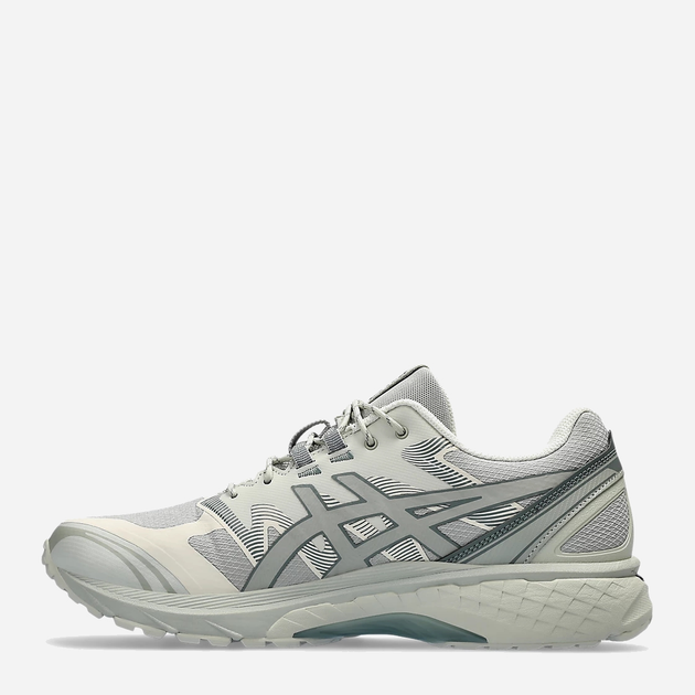 Buty sportowe męskie Asics Gel-Terrain 1203A342-020 43.5 Szare (4550457159463) - obraz 3