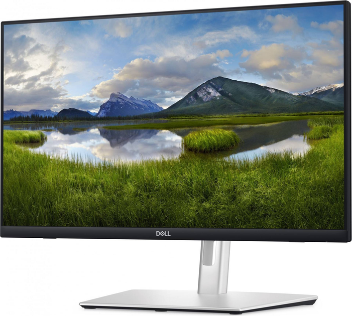 Monitor 24" Dell P2424HT Silver (DELL-P2424HT) - obraz 2