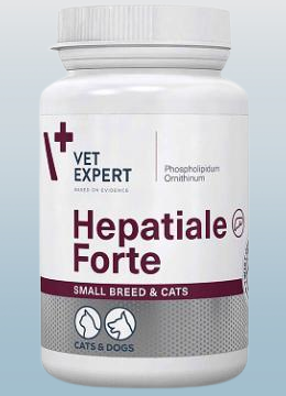 Харчова добавка VetExpert Hepatiale Forte для підтримки та захисту функцій печінки у кішок та собак малих порід 40 капсул - Фото 2 Харчова добавка VetExpert Hepatiale Forte для підтримки та захисту функцій печінки у кішок та собак малих порід 40 капсул - зображення 2