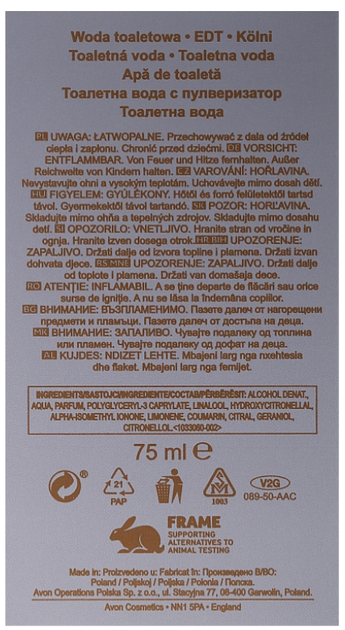 Woda toaletowa męska Avon Today Tomorrow Always 75 ml (5059018144157) - obraz 3