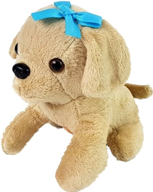 Zestaw weterynaryjny LEAN Toys Pet First z psem i transporterem (5905214973322) - obraz 4