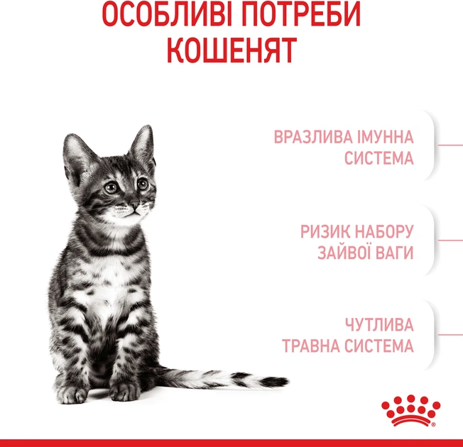 Royal Canin Kitten Sterilised Сухий Корм ​​Для Стерилізованих Кошенят 2 кг (3182550805186) (2562020) - зображення 5