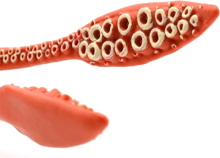 Figurka Papo Kałamarnica olbrzymia 8 cm (3465000560584) - obraz 4
