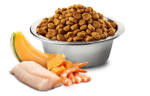 Сухой беззерновой корм для котят Farmina N&D Grain Free Ocean Kitten Cod, Shrimp, Pumpkin & Melon с треской и дыней 1.5 кг (175584) - изображение 2
