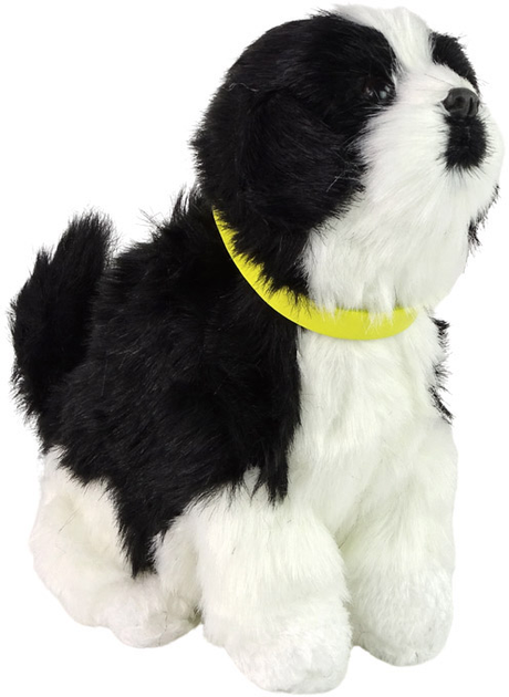 Maskotka Leantoys Pies Border Collie Czarno-biały 19 cm (5905214977368) - obraz 1