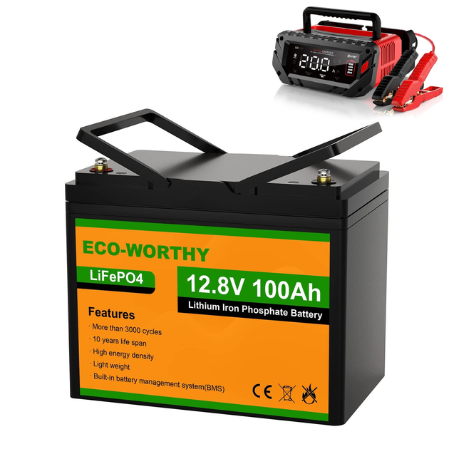 Аккумулятор Eco Worthy LiFePO4 12V 100Ah (1280Wh) с зарядным устройством 20A - изображение 1