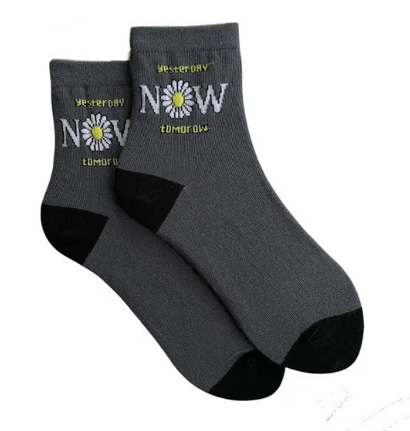 Набор носков 3 пары с надписями ORGANIC cotton бесшовные JILL ANTONY 38-40 арт. 31027 - Фото 3 Набор носков 3 пары с надписями ORGANIC cotton бесшовные JILL ANTONY 38-40 арт. 31027 - изображение 3