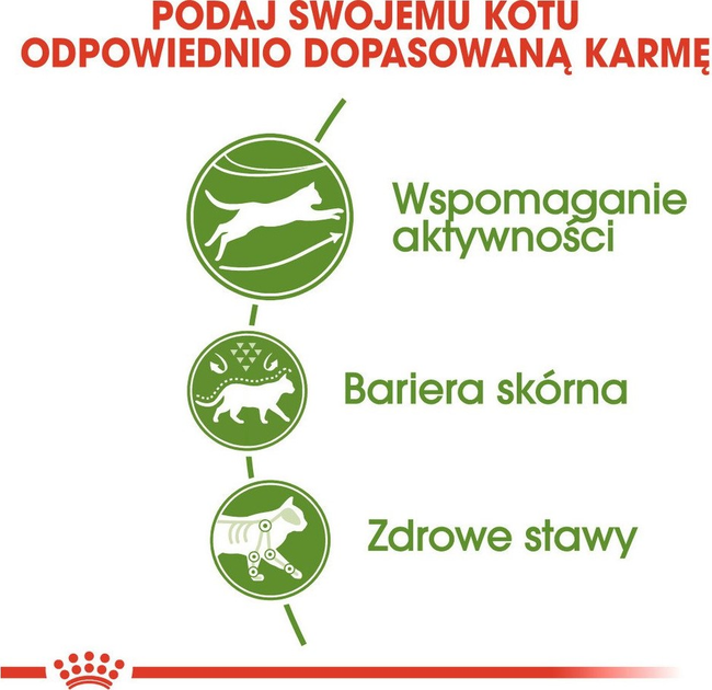Sucha karma dla dorosłych kotów Royal Canin fhn outdoor z smakiem ptaka 4 kg (3182550707381) - obraz 3