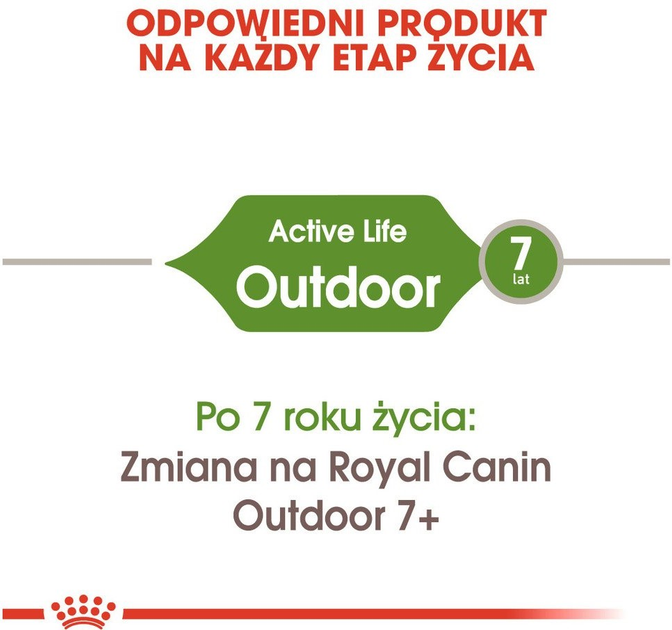 Sucha karma dla dorosłych kotów Royal Canin fhn outdoor z smakiem ptaka 4 kg (3182550707381) - obraz 4