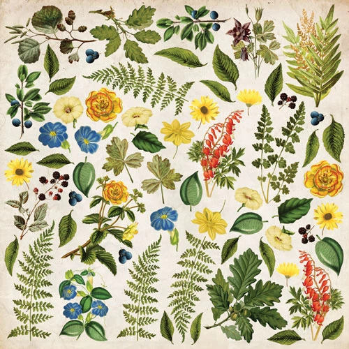 Набір картинок для вирізання Фабрика Декору, Summer Botanical Story 20х20 см, 02128F - Фото 1 Набір картинок для вирізання Фабрика Декору, Summer Botanical Story 20х20 см, 02128F - зображення 1