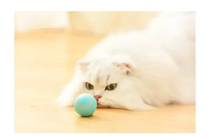 Игрушка для кошек Stress Cat / Шарик с силовой гравитацией, который сам катается для котов и котят LY-599 - Фото 2 Игрушка для кошек Stress Cat / Шарик с силовой гравитацией, который сам катается для котов и котят LY-599 - зображення 2