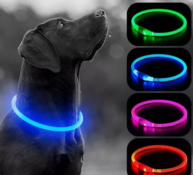 Светодиодный влагостойкий ошейник для собак USB (30см) - Фото 1 Светодиодный влагостойкий ошейник для собак USB (30см) - изображение 1