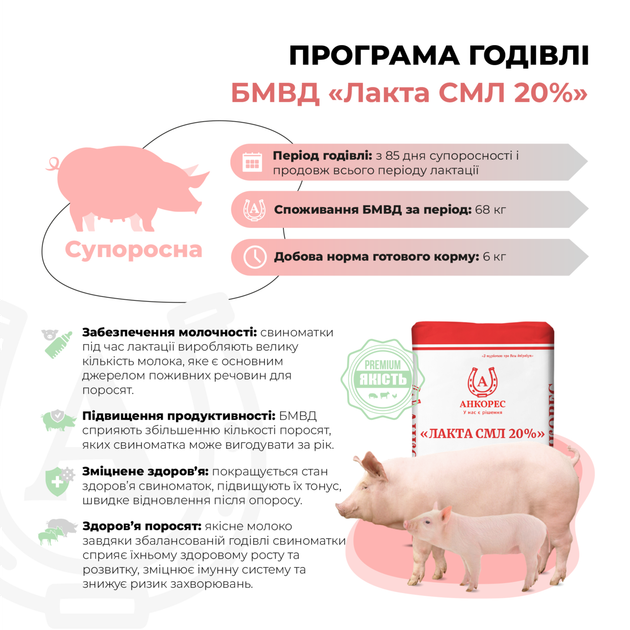 БМВД для свиноматок лактуючих «Лакта СМЛ 20%» Ankores (25кг) - Фото 2 БМВД для свиноматок лактуючих «Лакта СМЛ 20%» Ankores (25кг) - зображення 2