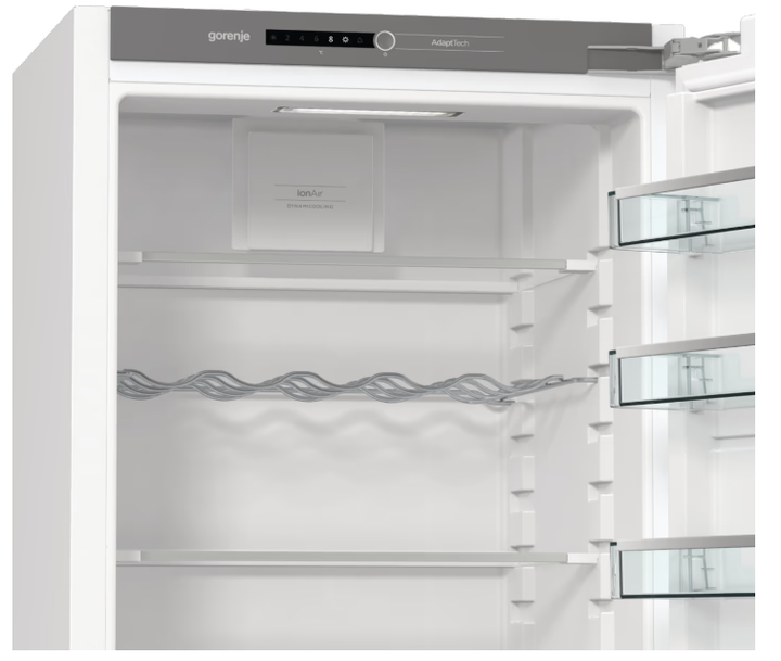 Холодильник Gorenje RI518EA1 (6990156) - зображення 15