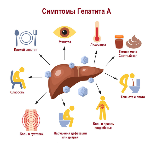 Экспресс тест PROFICHECK для диагностики гепатита А (HAV), (цельная кровь/сыворотка/плазма) - изображение 2