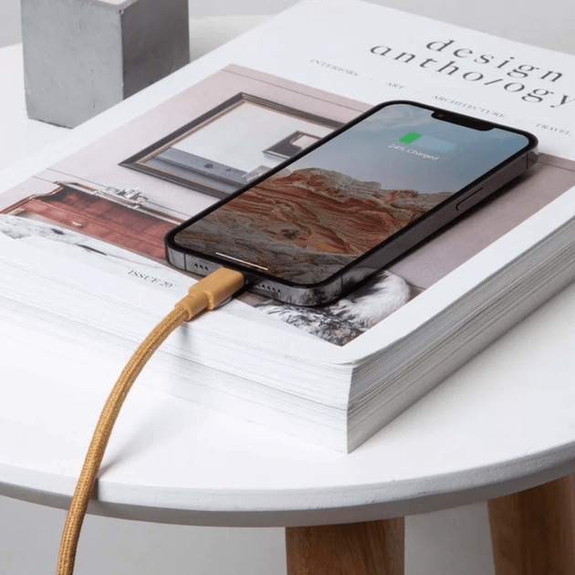 Кабель USB-C to USB-C Native Union Anchor Cable Pro 240W Kraft (3 m) (ACABLE-C-KFT-NP) - изображение 2
