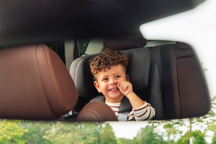 Автокресло Britax-Romer Advansafix Pro LUX Soft Taupe (2000040910) - изображение 8