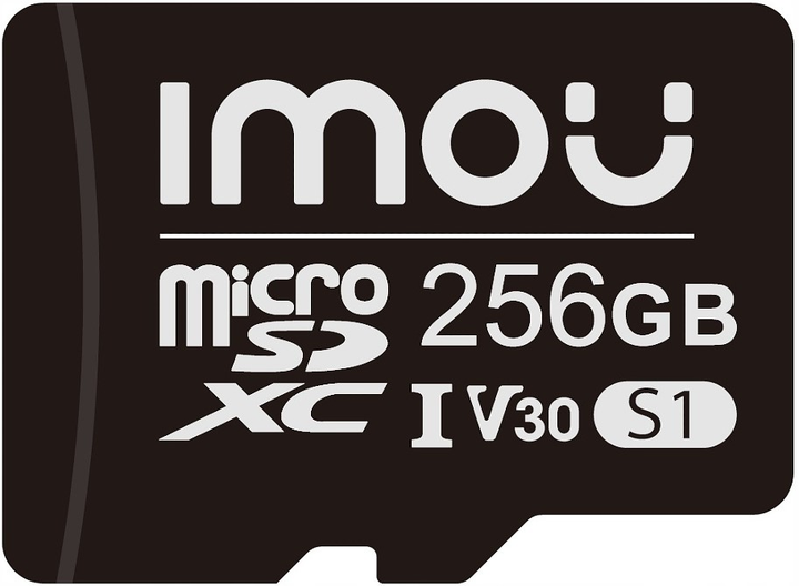 Карта пам'яті IMOU microSDXC 256 GB class 10 UHS-I U3 (ST2-256-S1) - зображення 1