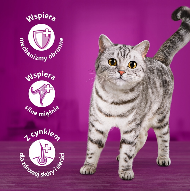 Упаковка вологого корму для котів Whiskas Соковиті шматочки в желе 85 г x 24 шт (5900951302121) - зображення 4